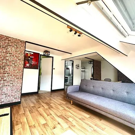 L'Appartement En Bord De Loire De Quentin & Manon Sully-sur-Loire Exterior foto